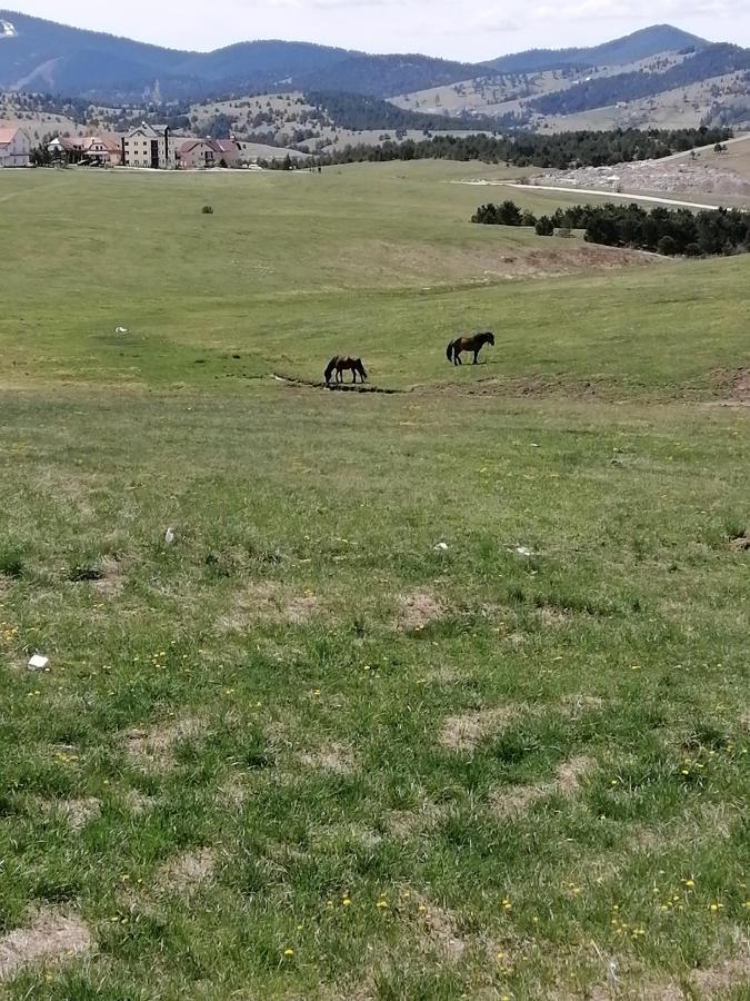 Apartman selakovic Zlatibor Bagian luar foto