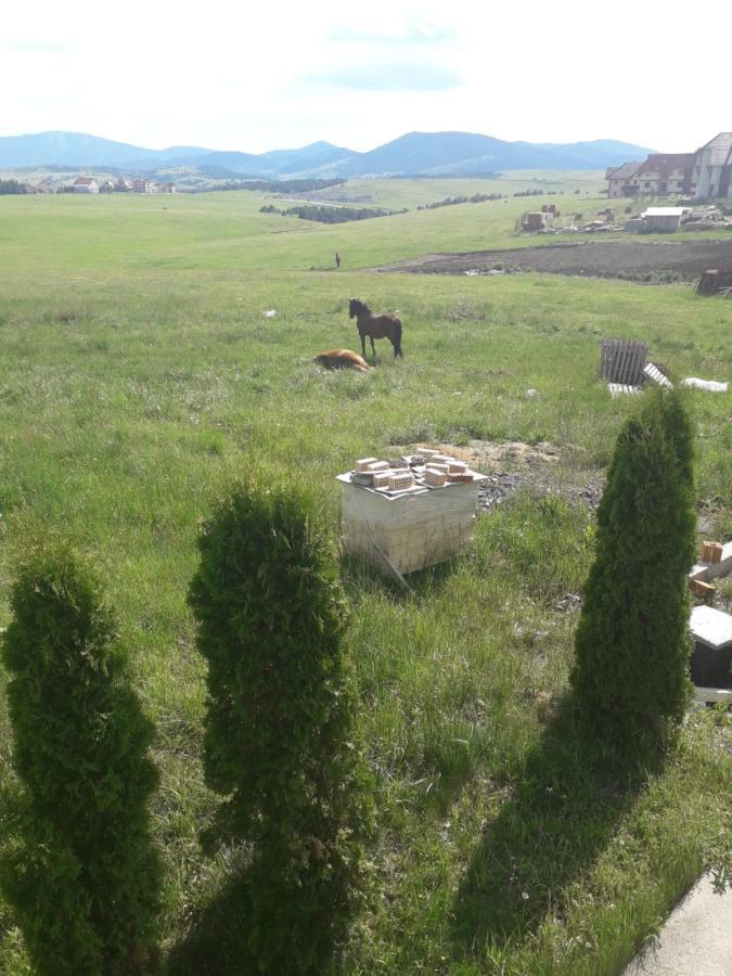 Apartman selakovic Zlatibor Bagian luar foto